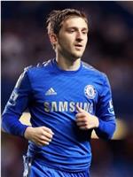 Marko Marin