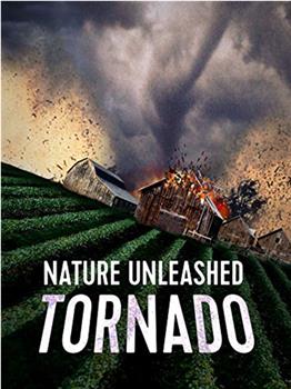 Nature Unleashed: Tornado在线观看和下载