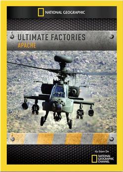终极工厂：阿帕奇直升机在线观看和下载