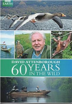 大卫爱登堡野外探索60年在线观看和下载
