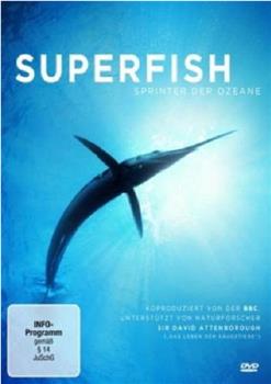 自然：超级鱼类在线观看和下载