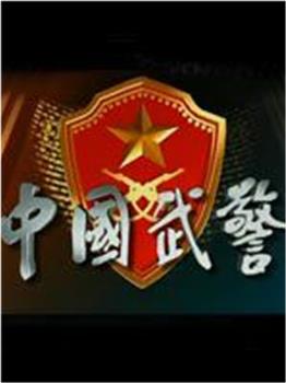 中国武警在线观看和下载