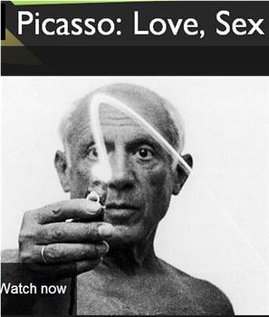 毕加索：知性懂爱的艺术大师在线观看和下载