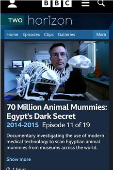 BBC地平线.七千万动物木乃伊.古埃及的暗黑秘密在线观看和下载