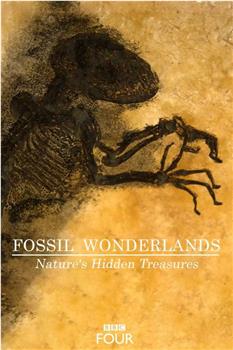 化石仙境：隐藏在自然中的宝藏在线观看和下载