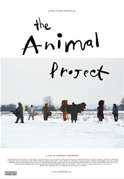 动物项目在线观看和下载