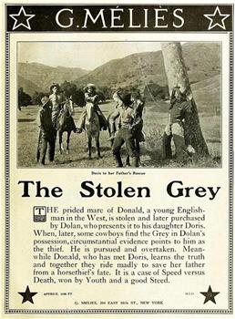 The Stolen Grey在线观看和下载