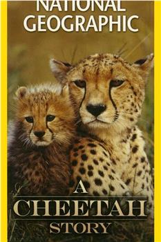 Cheetah Story在线观看和下载