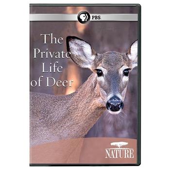 The Private Life of Deer Season 31在线观看和下载