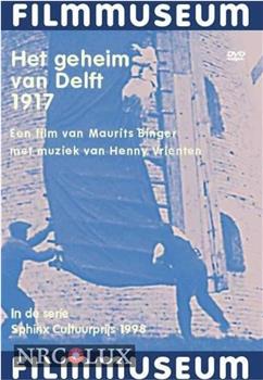 Het geheim van Delft在线观看和下载