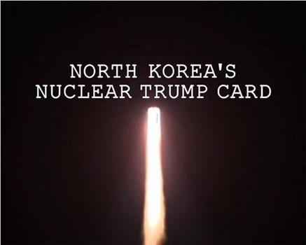 朝鲜核王牌在线观看和下载