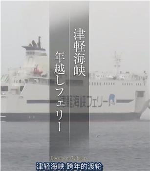 ドキュメント72時間「津軽海峡 年越しフェリー」在线观看和下载
