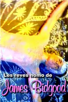 The Queer Reveries of James Bidgood在线观看和下载