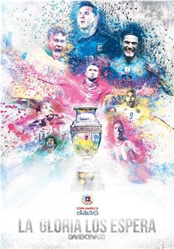 2015年智利美洲杯在线观看和下载