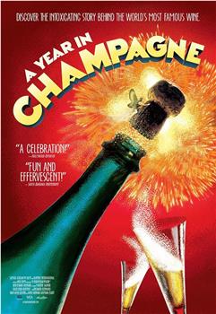 在香槟的一年在线观看和下载