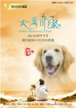 犬爱奇缘在线观看和下载