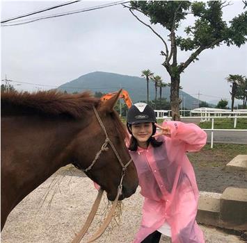 辛睿恩的秘密济州在线观看和下载