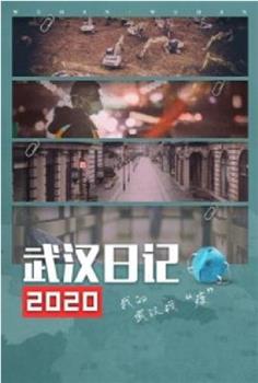 武汉日记2020在线观看和下载