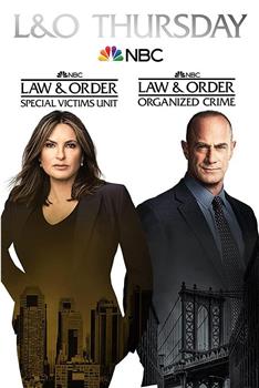 法律与秩序：特殊受害者 第二十三季在线观看和下载