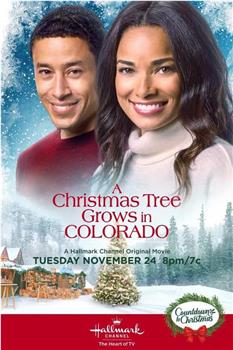 A Christmas Tree Grows in Colorado在线观看和下载