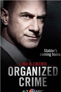 法律与秩序：组织犯罪 第一季在线观看和下载