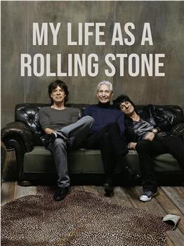 My Life as a Rolling Stone在线观看和下载