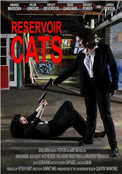 Reservoir Cats在线观看和下载