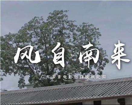 风自南来：广东方言电影创作现状纪实在线观看和下载