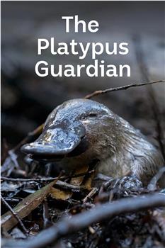 The Platypus Guardian在线观看和下载