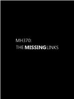 MH370：缺失的环节magnet磁力分享