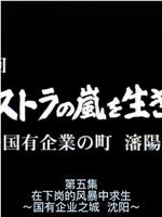 沈阳：公司改革的旋风