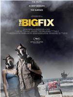 The Big Fix