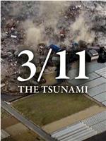 3/11 - 海啸来袭：最初的3天