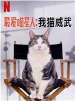 最爱喵星人：我猫威武magnet磁力分享