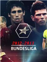 2012-2013赛季 德国足球甲级联赛