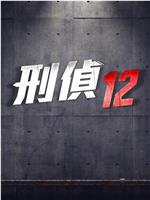 刑侦12