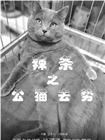 辣条之公猫去势