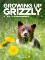 Growing up Grizzly: A Tale of Two Orphans